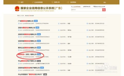 如何准确高效地查询企业工商信息 一份实用指南