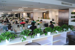 在温暖的团队中砥砺前行 如何看待‘零年终奖’与职业发展